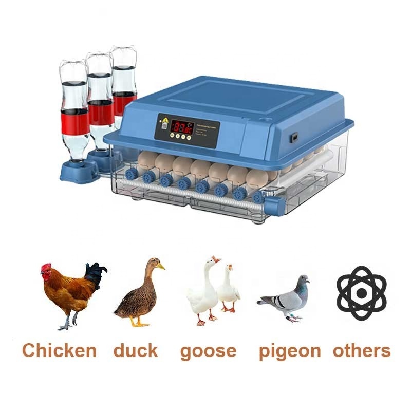 Factory direct supply Thermometer Manual Finches egg incubators for hatching eggs