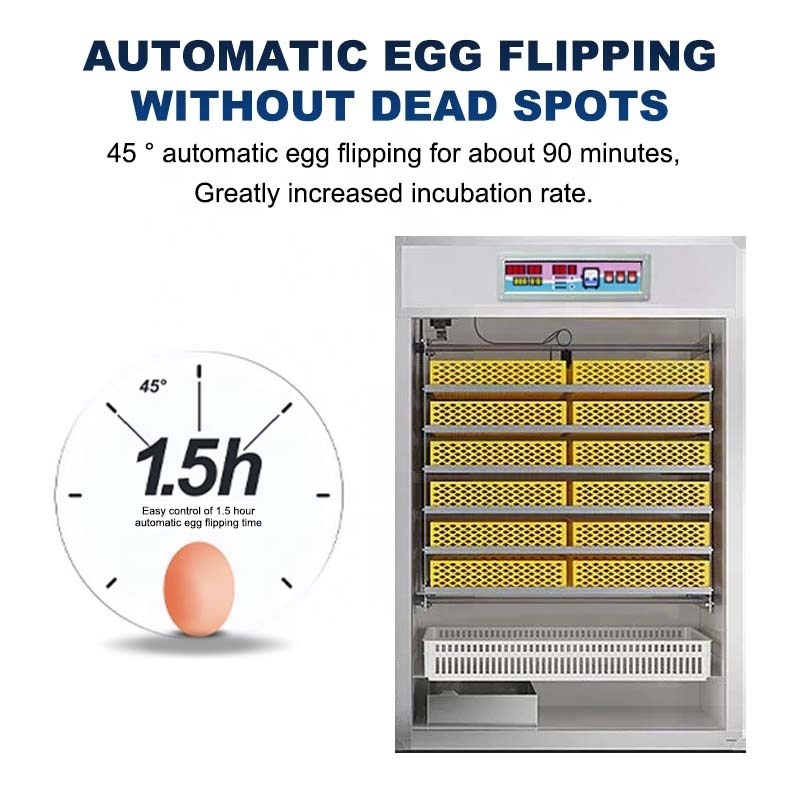 Hot selling 12v battery power machine hatching eggs solar powered commercial egg incubator for sale Egg Incubator in low price