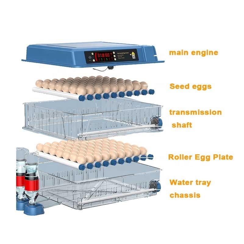 Factory direct supply Thermometer Manual Finches egg incubators for hatching eggs