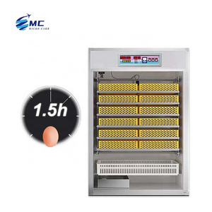 Hot selling 12v battery power machine hatching eggs solar powered commercial egg incubator for sale Egg Incubator in low price