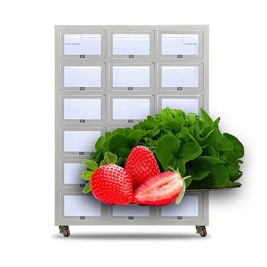 Room Temperature Smart Food Locker Farm Fresh Egg Fresh Produce Vending Machine