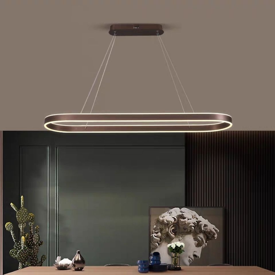 Nordic modern Chandelier Creative Design Lamp Restaurant Kitchen Dining Table Suspension Chandelier oval  long pendant light