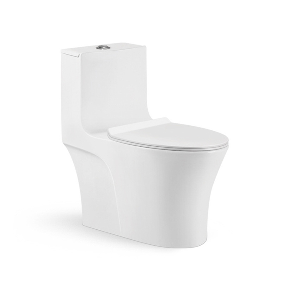 American Standard Siphonic Washdown Dual-Flush One Piece Western Toilet Affordable Price Sanitary Ware Pp Seat Ceramic Toilet