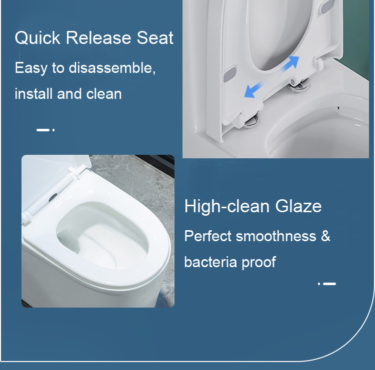 American Standard Siphonic Washdown Dual-Flush One Piece Western Toilet Affordable Price Sanitary Ware Pp Seat Ceramic Toilet