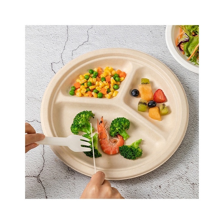 Food grade wholesale custom pulp paper white natural color compostable biodegradable disposable plates bowls