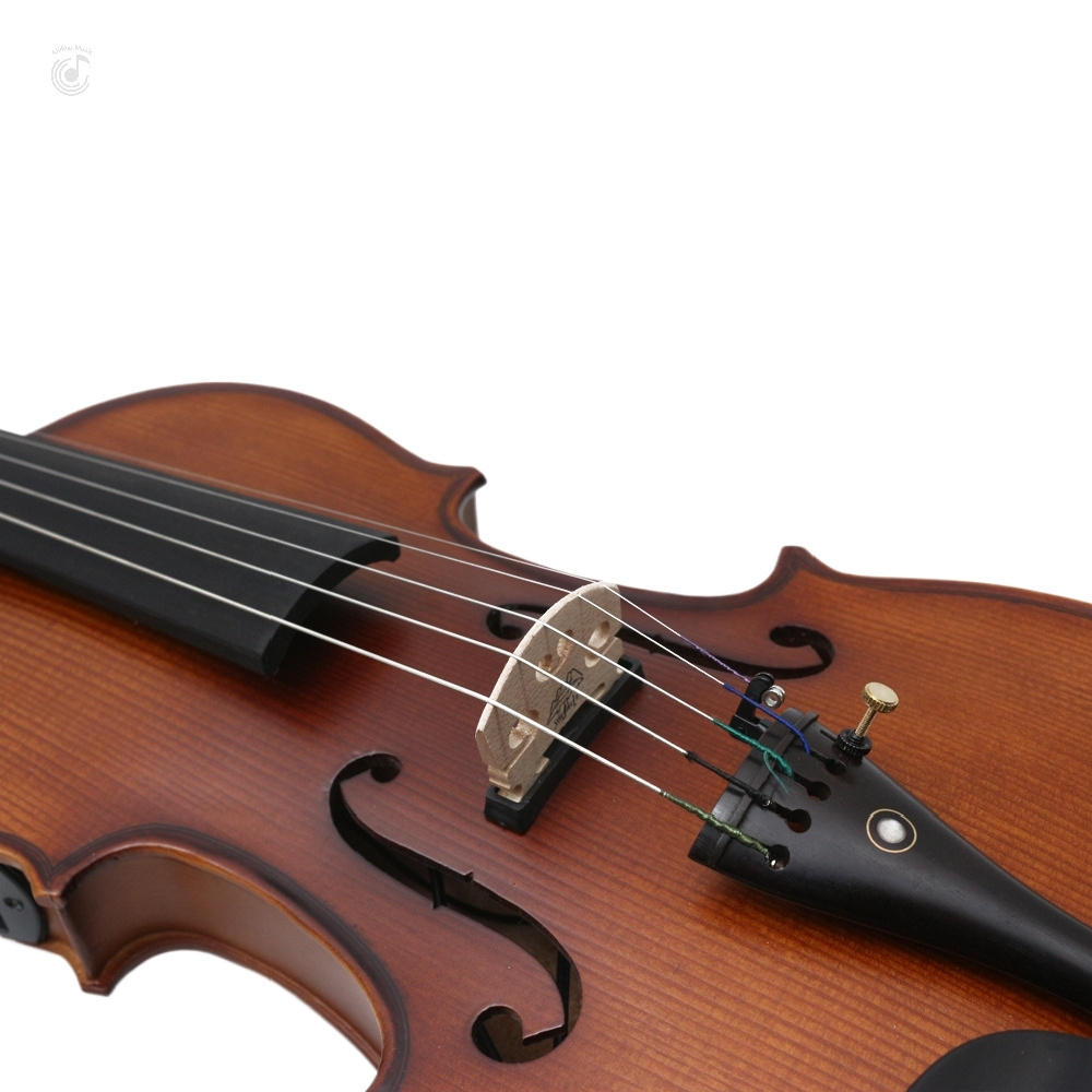 Vintage Style 5-String Electric Acoustic Violin with Superior Sound Quality Handcrafted with Maple Back/Side Material