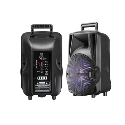 PK-10 8 Inch BASS Outdoor Portable Trolley DJ Speaker System With LED Light Blue Tooth Speaker Wireless DJ Sound Box Speakers