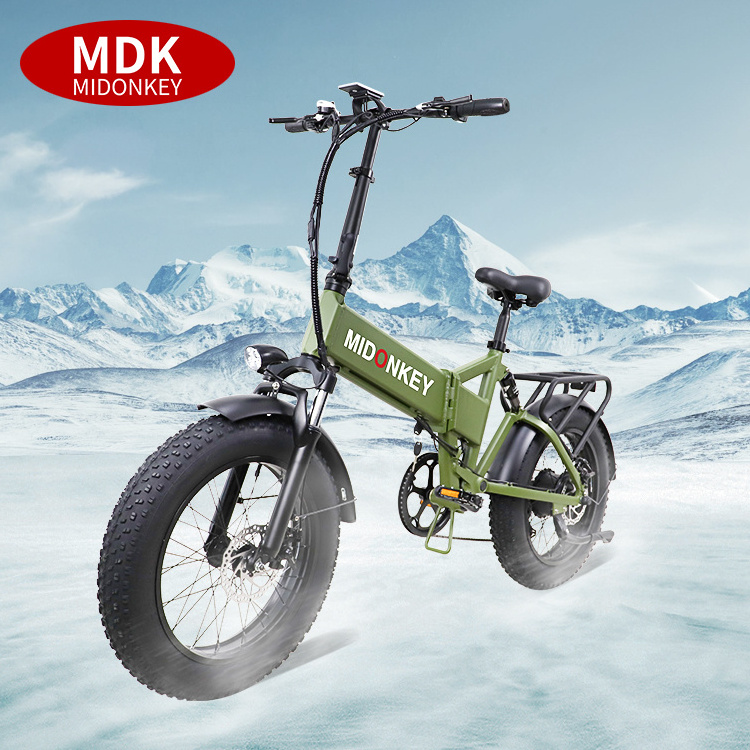 750W 48V Electric Bike 20