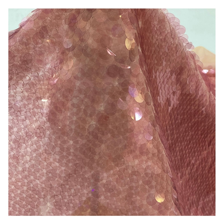 New Arrival Stretch Mesh Transparent Sequin Embroider Fabric For Dress Clothing