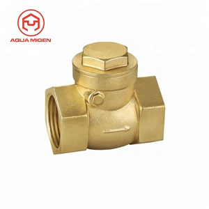 2 Inch PN20  Low Pressure Brass Non-Return Swing Spring Check Valve