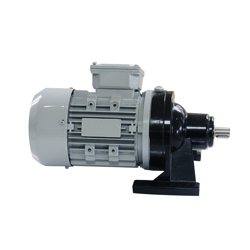 BLD Cycloid reducer BWD three-phase horizontal vertical speed reducer single-phase 220v motor High Torque Cycloid Gearbox