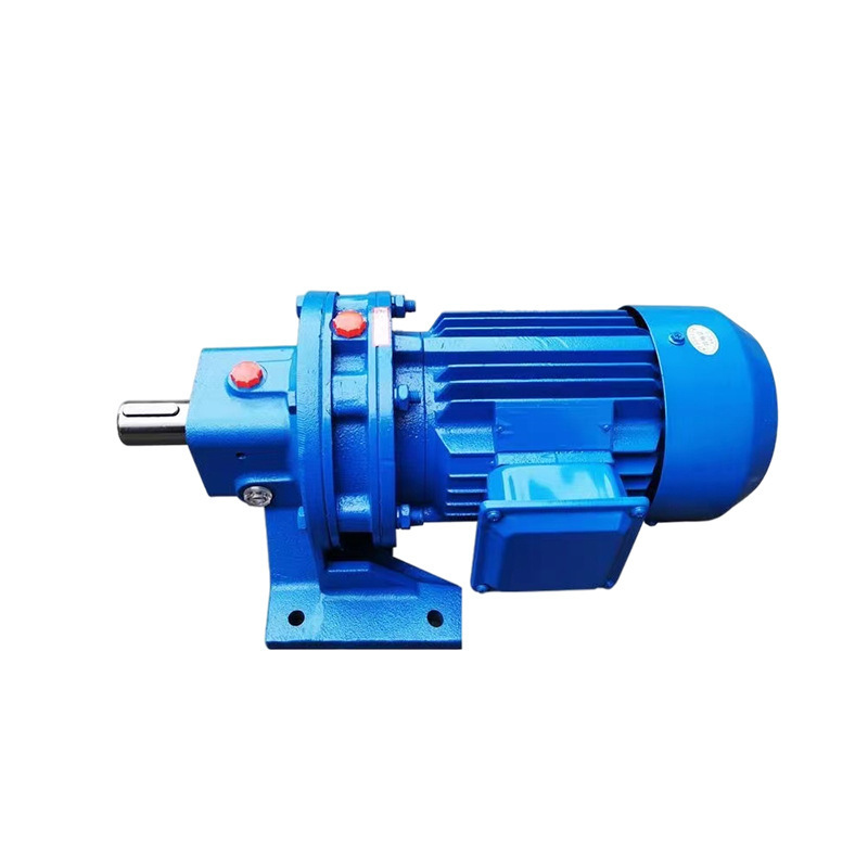 BLD Cycloid reducer BWD three-phase horizontal vertical speed reducer single-phase 220v motor High Torque Cycloid Gearbox