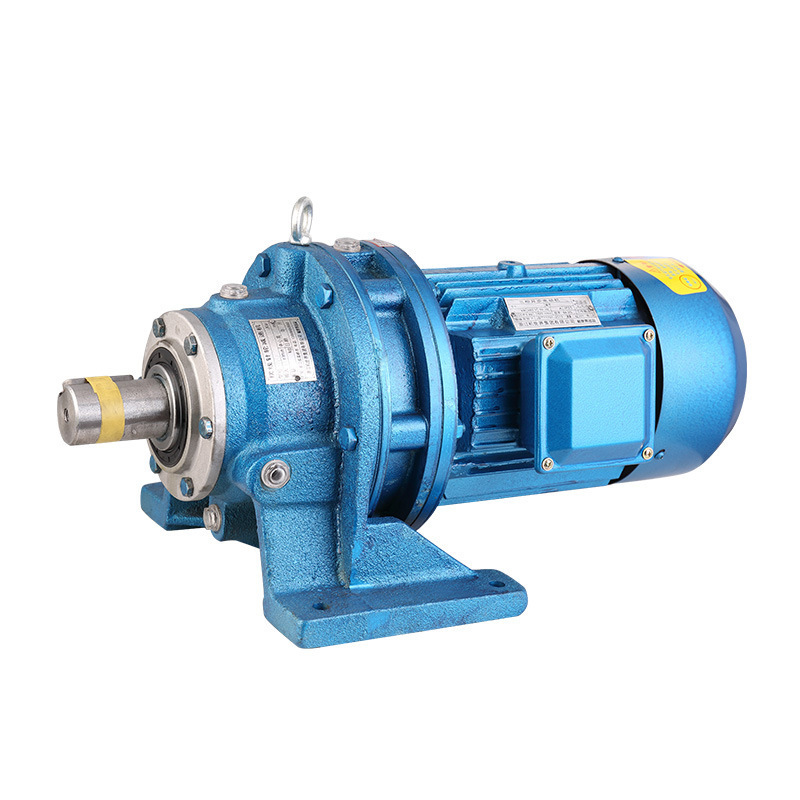 BLD Cycloid reducer BWD three-phase horizontal vertical speed reducer single-phase 220v motor High Torque Cycloid Gearbox