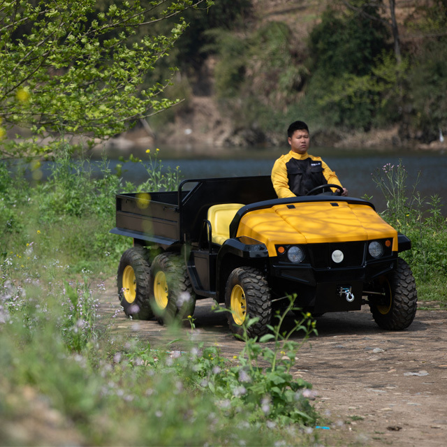 72V5kW Electric UTV 4x4 for adults