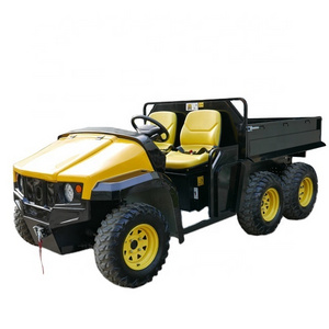 5kw powerful 2 seat cheap electric utility vehicle/cargo vehicle for farm