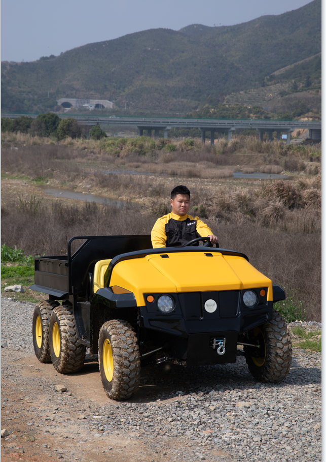 Water cooled motor electric buggy Side by Side 6 Wheel Farm Electric Vehicle 6x4