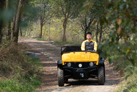 72V5kW Electric UTV 4x4 for adults