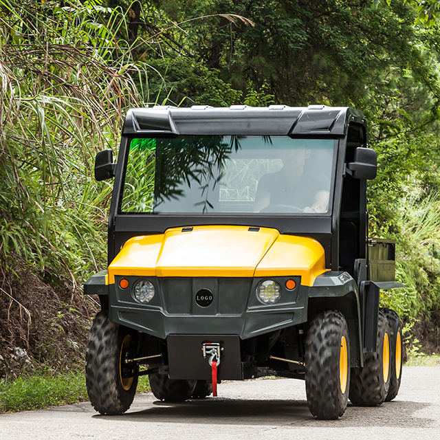 5kw powerful 2 seat cheap electric utility vehicle/cargo vehicle for farm