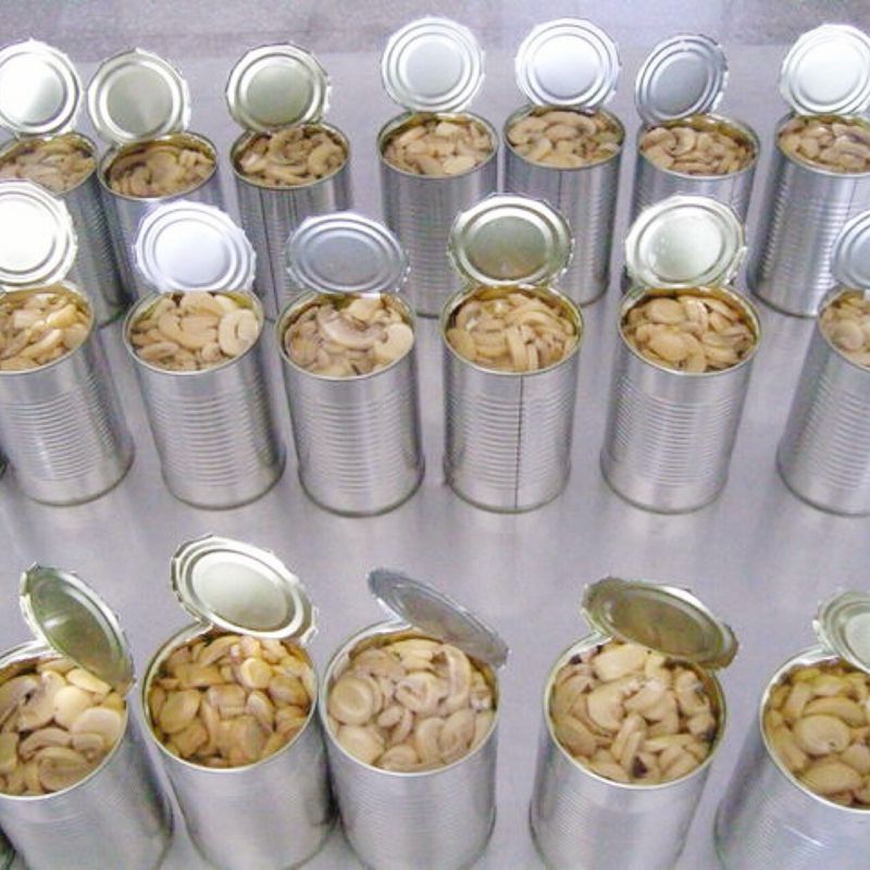 Chinese canned button mushrooms champignon  in cans