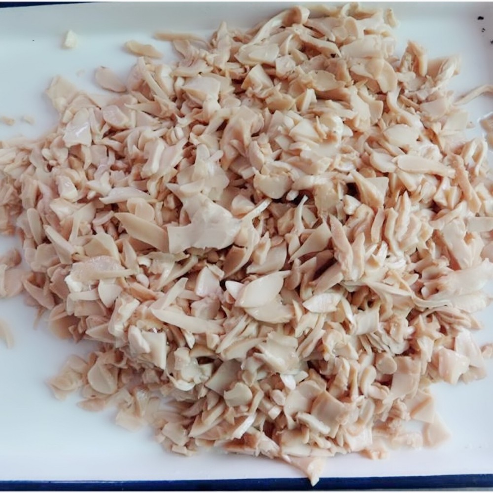 Chinese  canned mushroom  king oyster price in water in tins