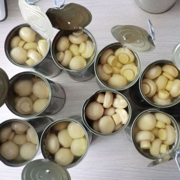 fresh pack canned mushroom champignons wholes in water canned mushroom in brine