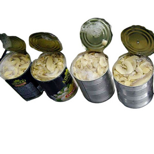 Chinese canned button mushrooms champignon  in cans