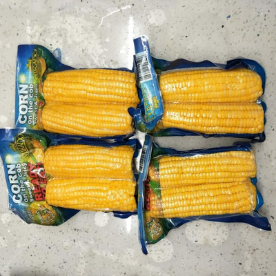 Top quality Mikado brand Chinese sweet corn on cob in vacuum pack