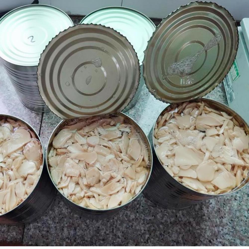 fresh pack canned mushroom champignons king oyster in water canned mushroom in brine