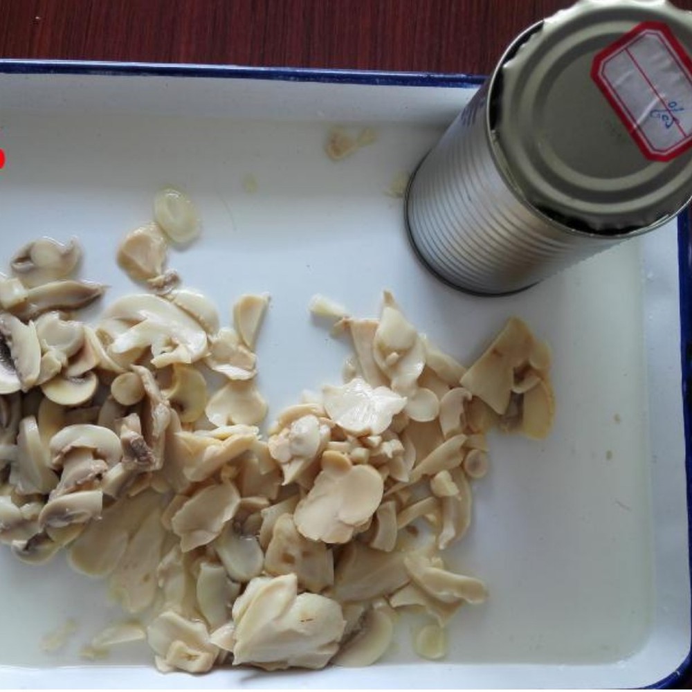 Chinese  canned mushroom  king oyster in water canned mushroom in brine