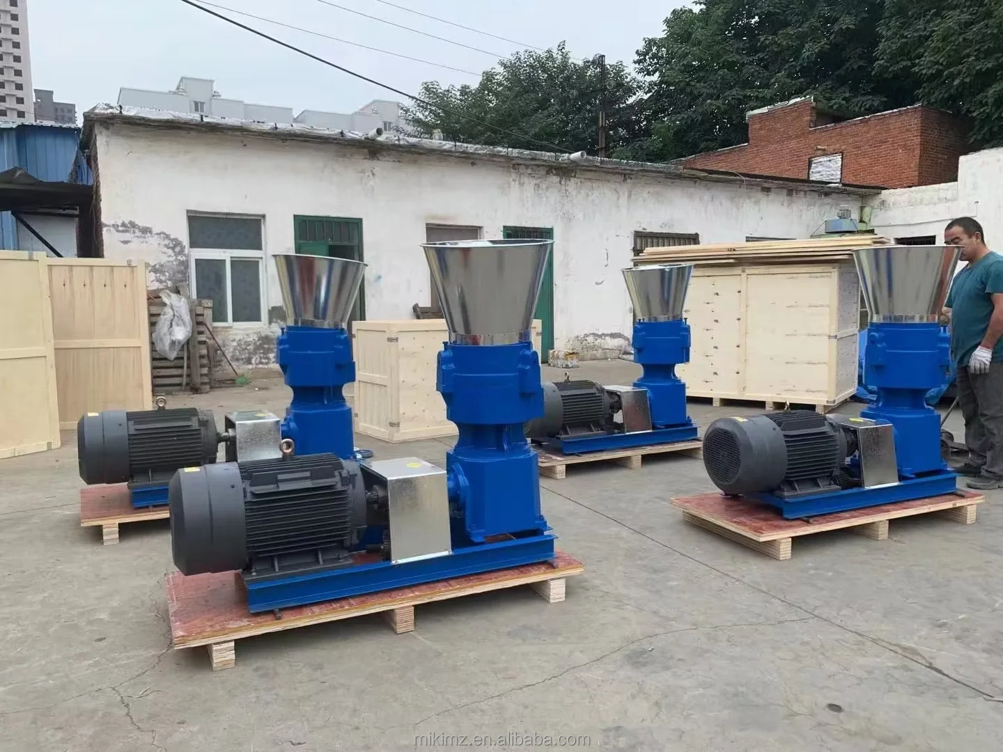 pellet mill for cattle feed poultry animal pellet feed machine