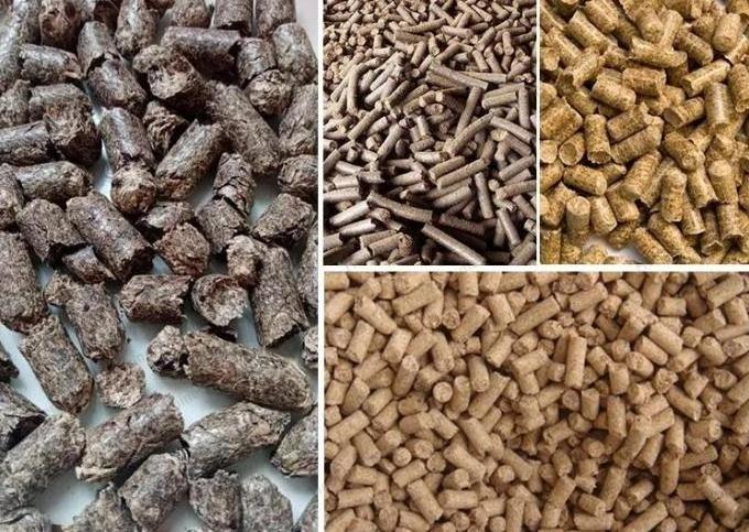 Cattle feed processing machine Factory poultry chicken Pellet food maker BH-150 Feeds pellet making machine