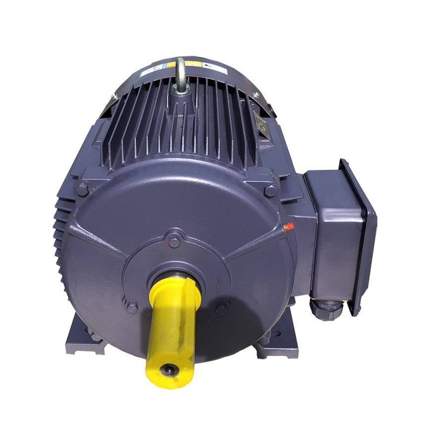 three phase asynchronous induction squirrel cage AC Electric motor