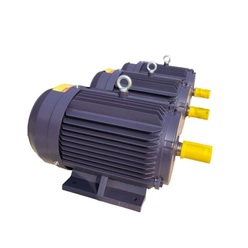 three phase asynchronous induction squirrel cage AC Electric motor