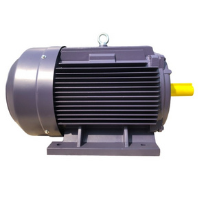 50HZ 60HZ High Efficiency Cast Iron three phase squirrel cage AC Industrial Induction Asynchronous Electric Motor