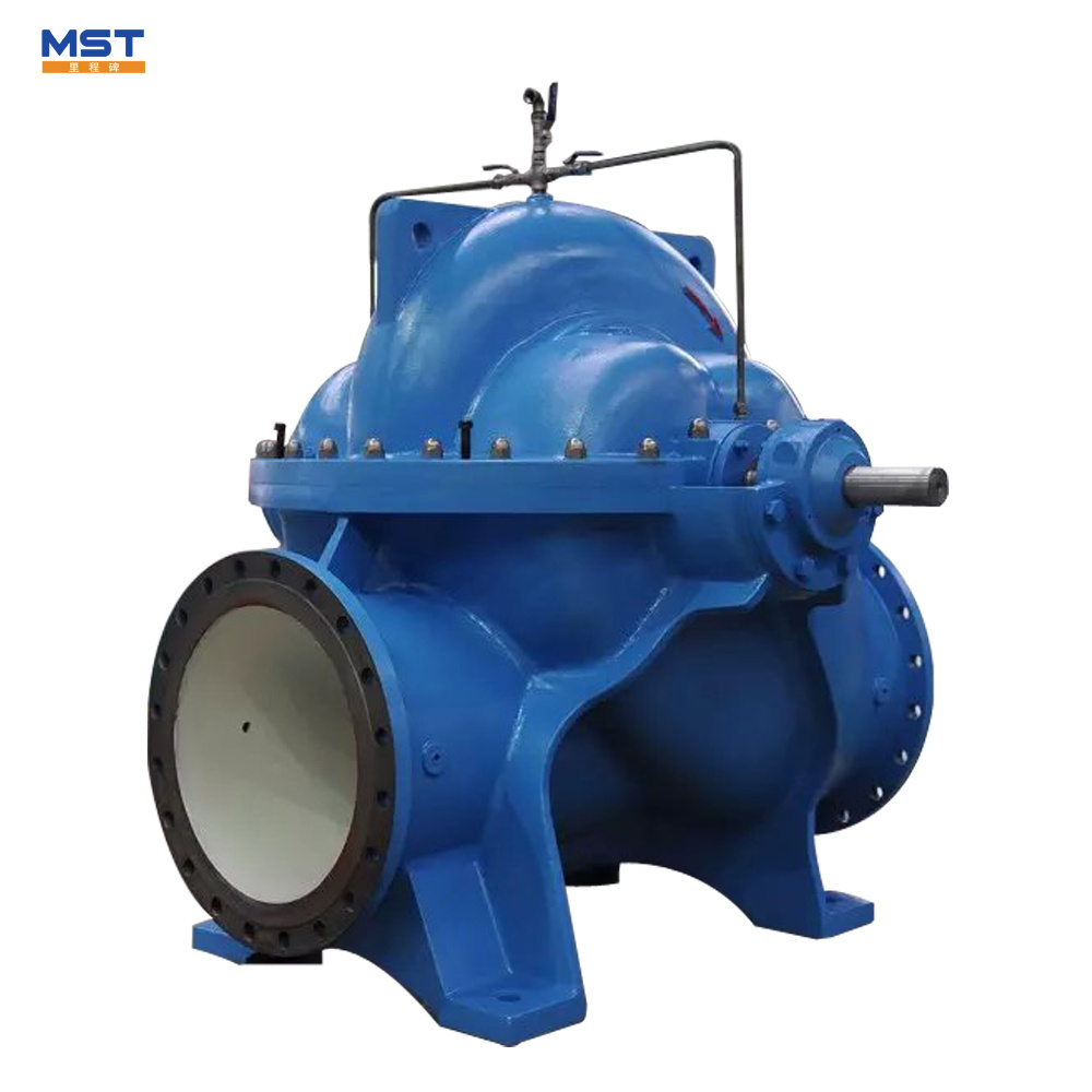 High Pressure Double Suction Agricultural Irrigation Water Pumping Machine