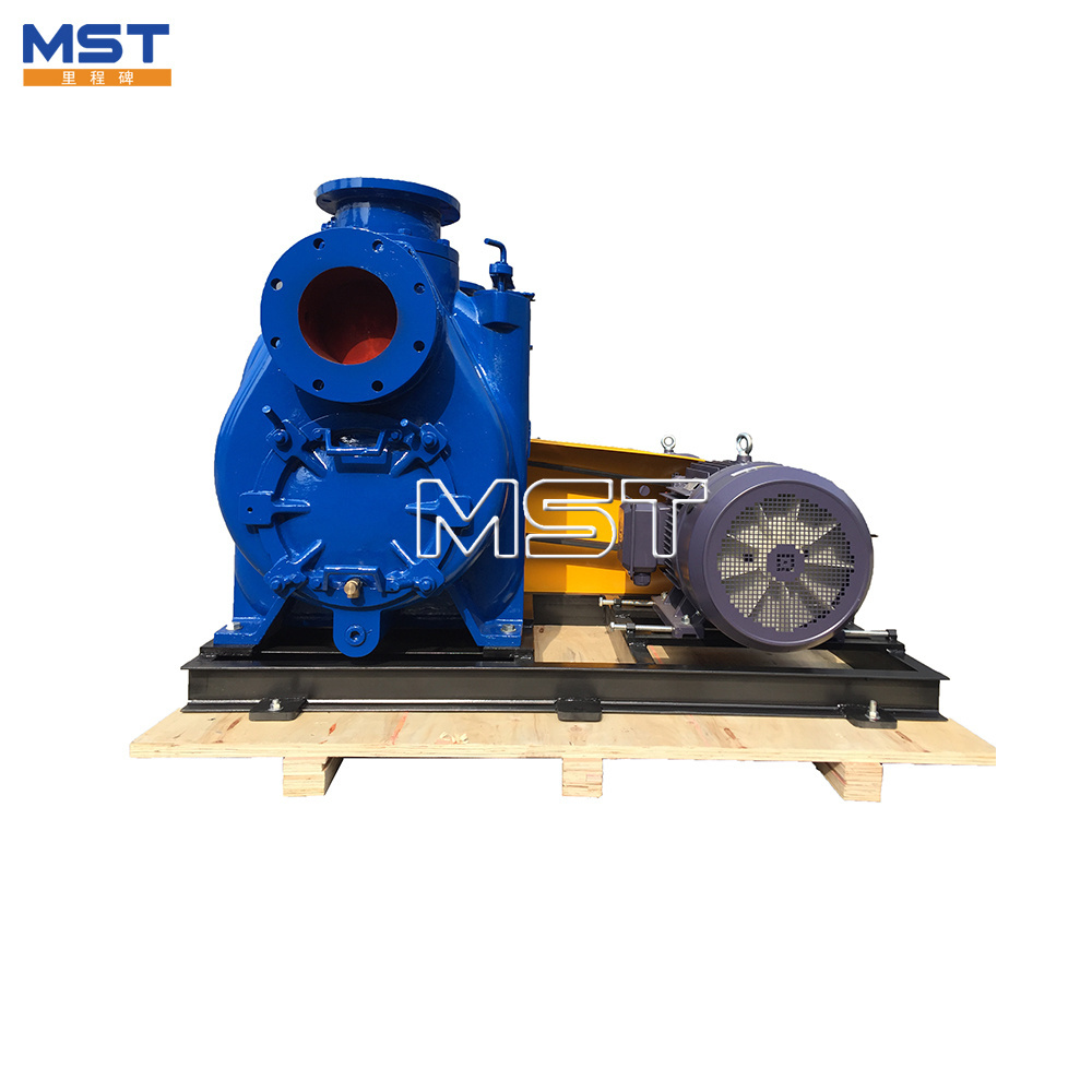 Marine Sea Water Cooling Self Priming Centrifugal Pump/Marine Fuel Oil Transfer Pump Competitive Price