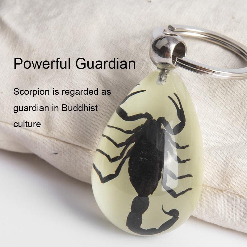 real insects resin keychains 360 spinning glowing teardrop shape custom innovative promotional advertising scorpion keychain