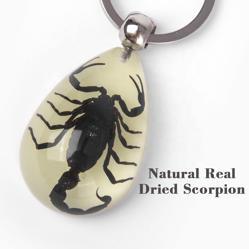 real insects resin keychains 360 spinning glowing teardrop shape custom innovative promotional advertising scorpion keychain