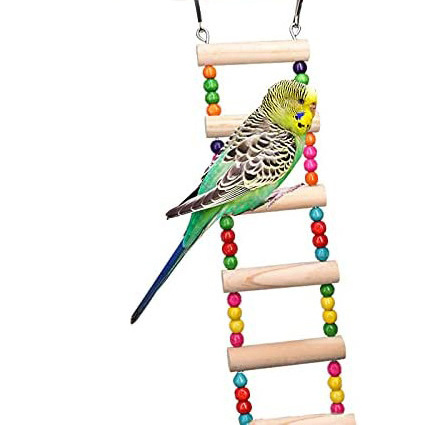 Wholesale Natural Wood Bird Nest Swing Chairs Parrot Toys Stand Perch With Bells Bird Toys Hanging For Cage