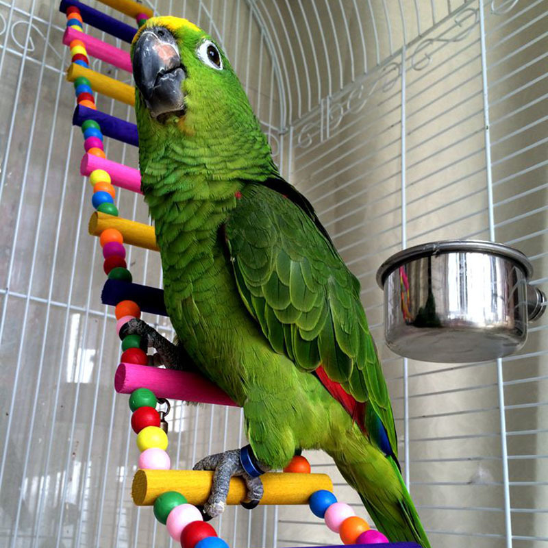 Colorful Bird Ladder Toys For Parrot Pet Swings Chew Hanging Bridge Wooden Rainbow Cage Training Accessories