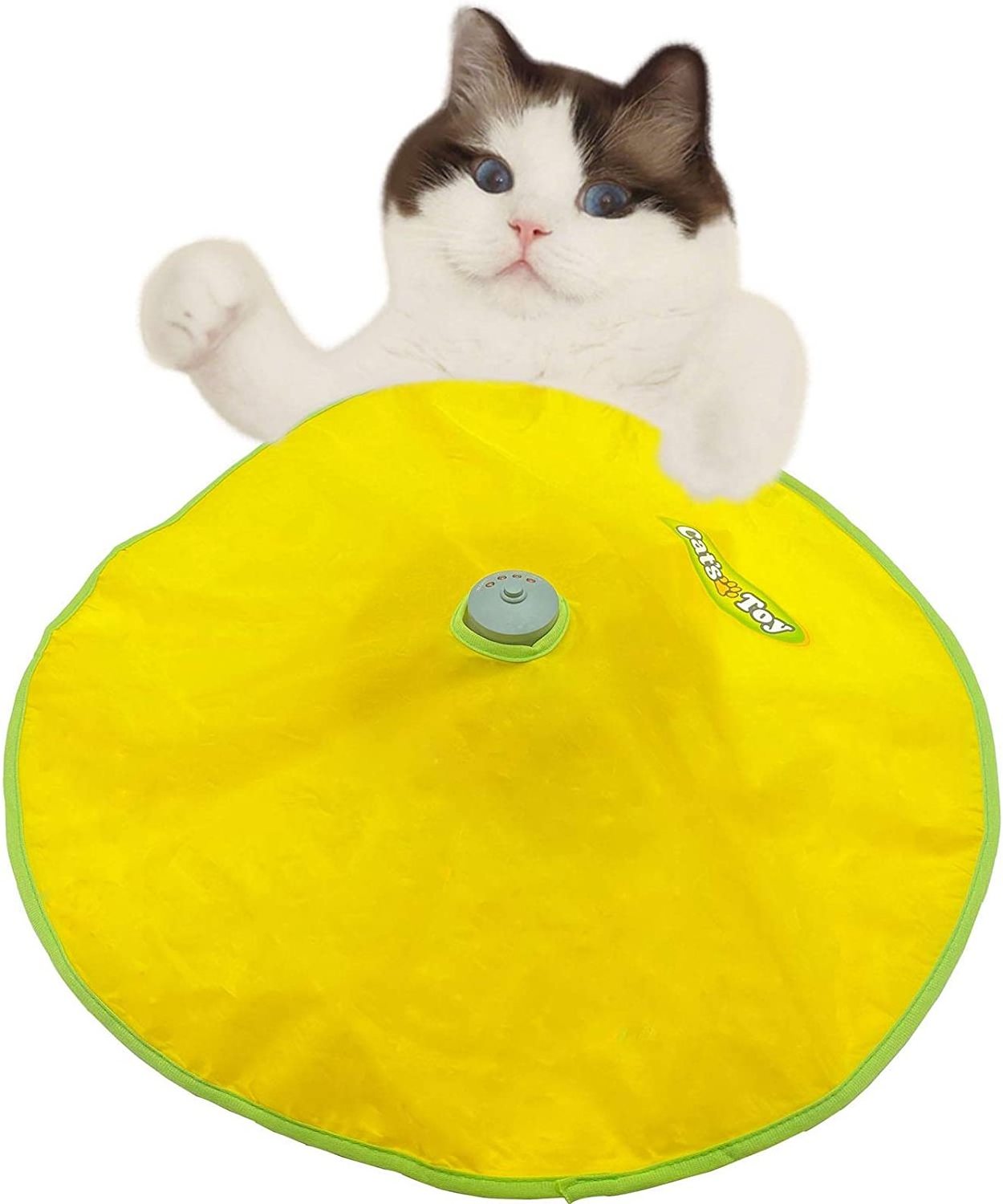 Interactive Cat Toys Motorized Cat Wand Toy Electronic Automatic Kitten Toys for Cats