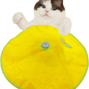 Interactive Cat Toys Motorized Cat Wand Toy Electronic Automatic Kitten Toys for Cats