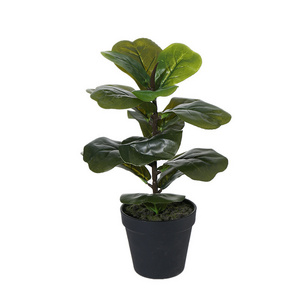 Artificial green plant bonsai, qin leaf banyan home interior decoration