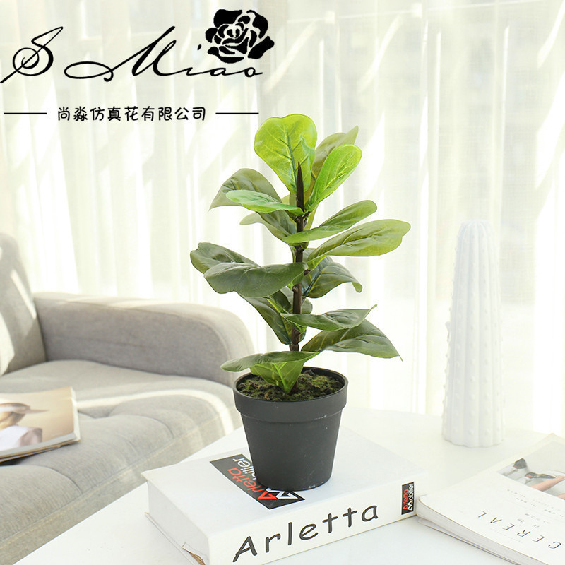 Artificial green plant bonsai, qin leaf banyan home interior decoration