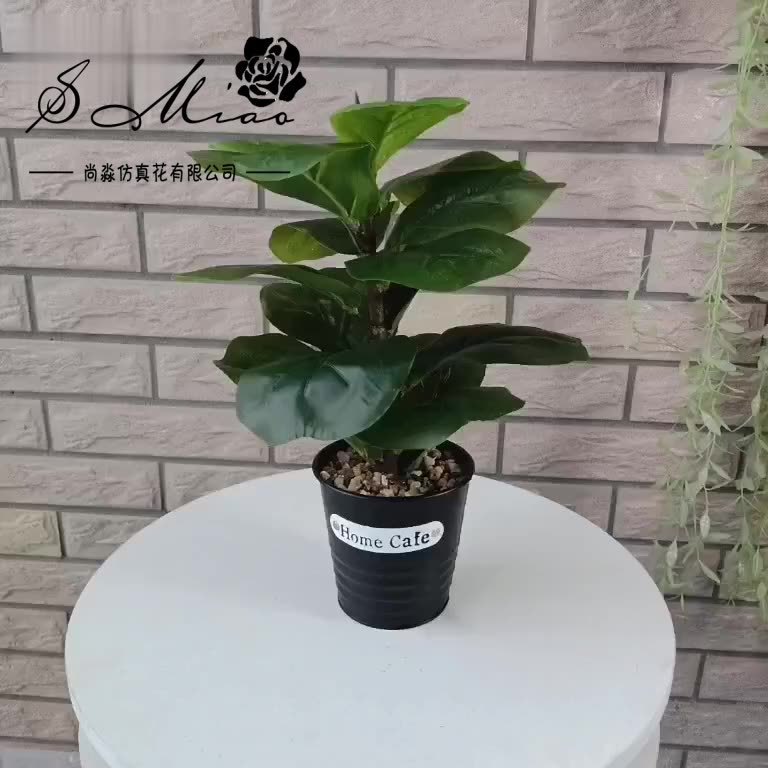 Artificial green plant bonsai, qin leaf banyan home interior decoration