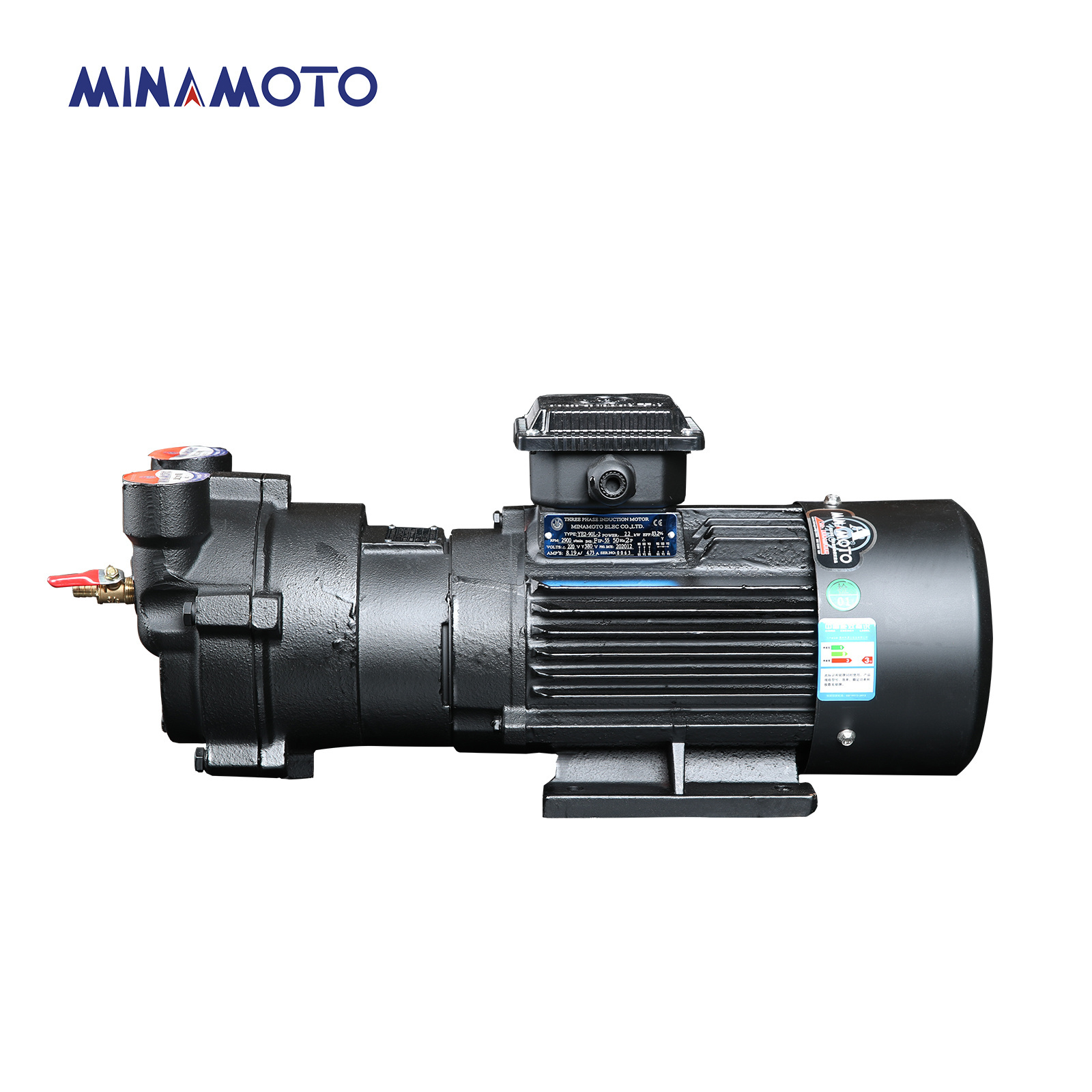 Suction capacity high pressure electric motor liquid ring air vacuum pump for Vacuum packaging 15-6p