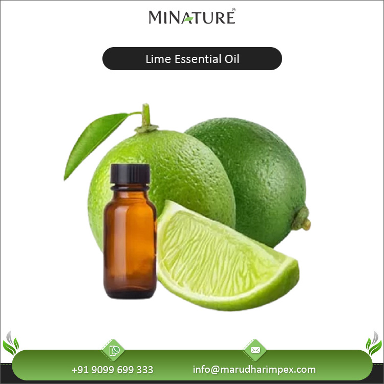 Wholesale Supply Aromatherapy Pure Essential Oil 100% Natural and Organic Lime Essential Oil from Indian Supplier