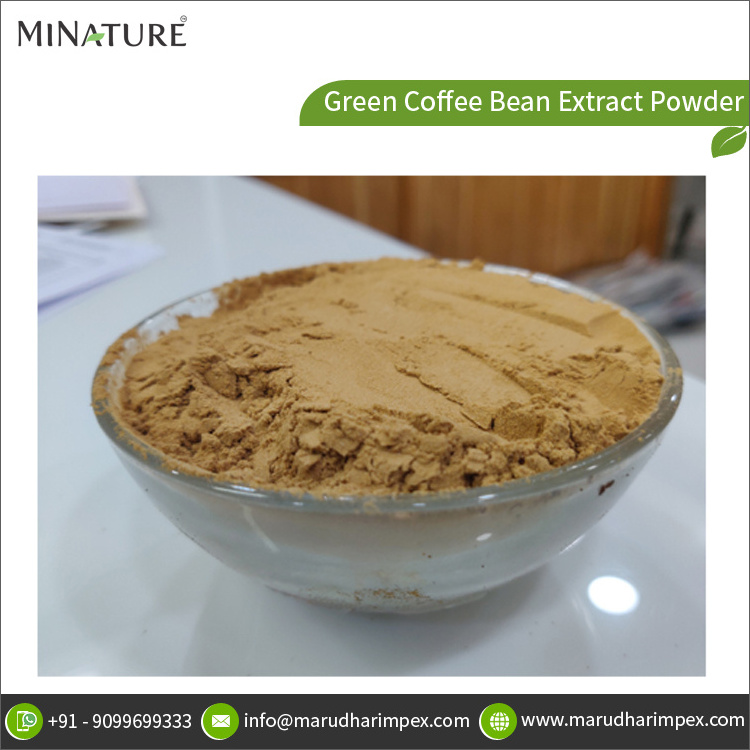 Hot Selling Premium Quality 100% Pure Green Coffee Bean Extract Powder at Wholesale Price