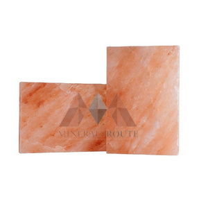 Fine Quality 100% Natural Himalayan Salt Tiles Blocks Bricks and Plates Wholesale Price Top Selling Himalayan Salt Bricks