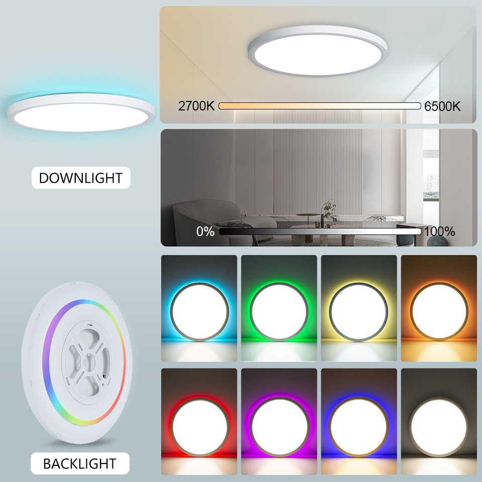 Smart Modern Home Ambient Lighting 300mm 24W APP Tuya Alexa Controlled LED Ceiling Lights For Living Room And Bedroom